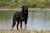 BEAUCERON 642